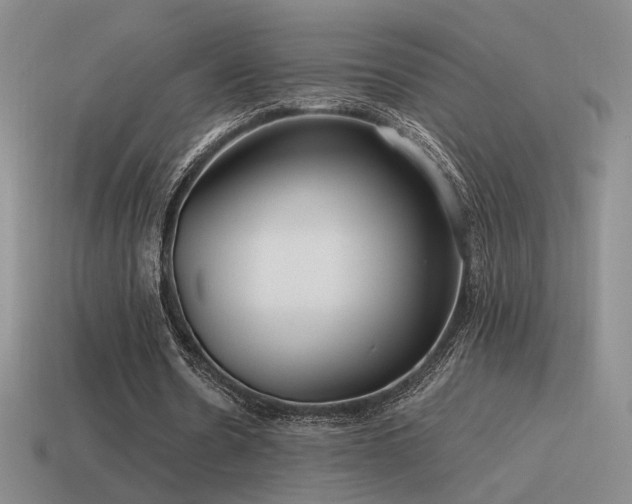 X0000115480530200911061219