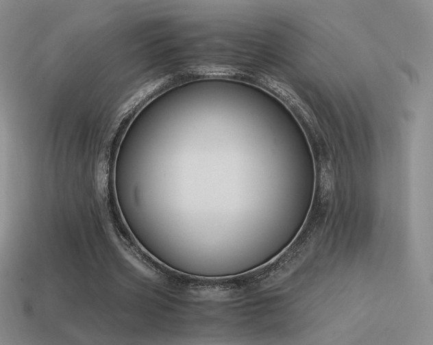 X0000115480533200911061219