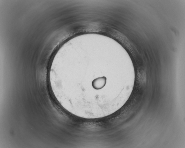 X0000115480534200911061219