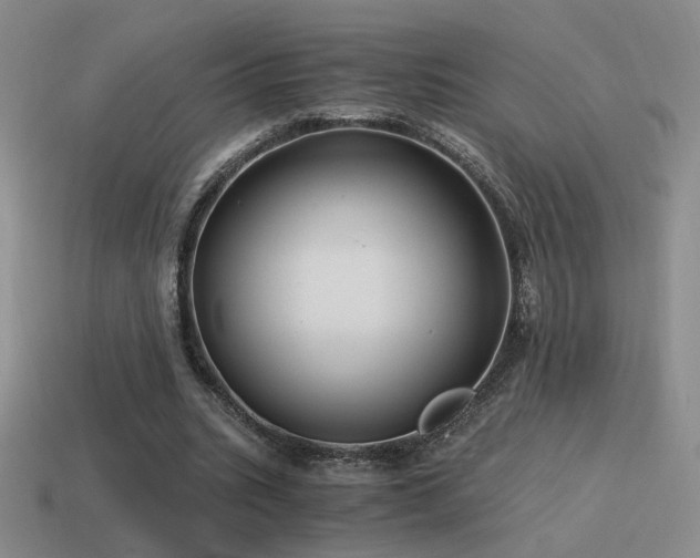 X0000115480535200911061219