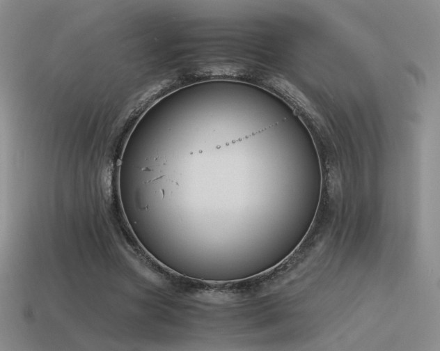 X0000115480537200911061219