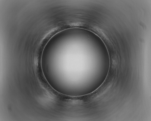X0000115480539200911061219