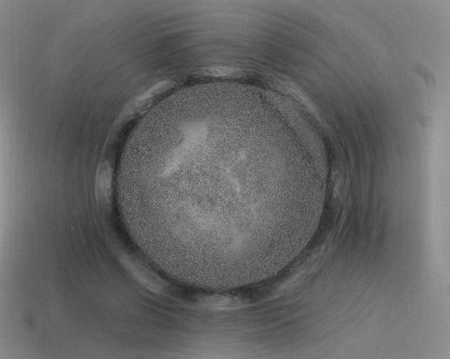 X0000115480542200911061219