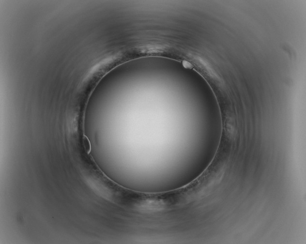 X0000115480543200911061219