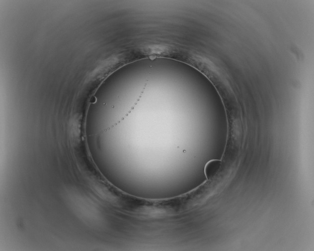 X0000115480545200911061219