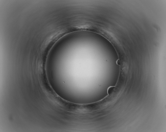 X0000115480547200911061219