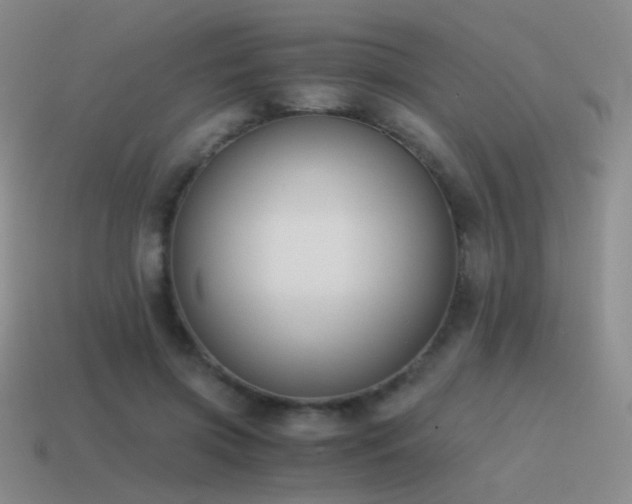 X0000115480549200911061219