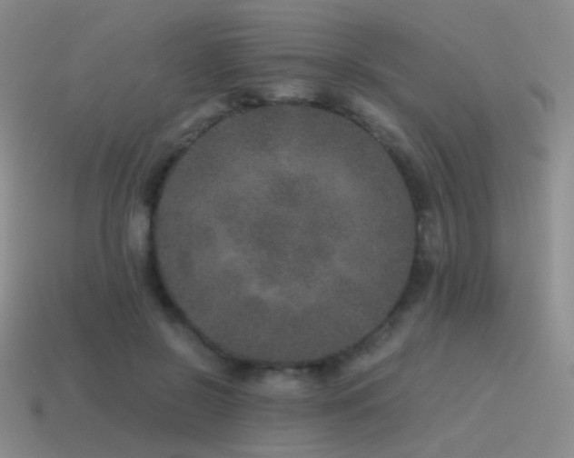 X0000115480550200911061219