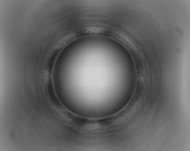 X0000115480551200911061219