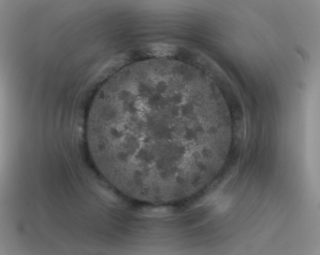 X0000115480553200911061219