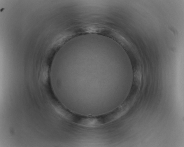 X0000115480554200911061219