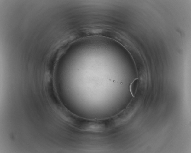 X0000115480555200911061219