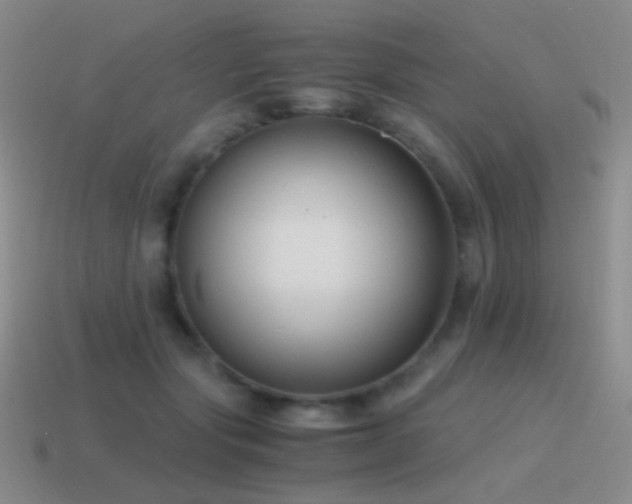 X0000115480557200911061219