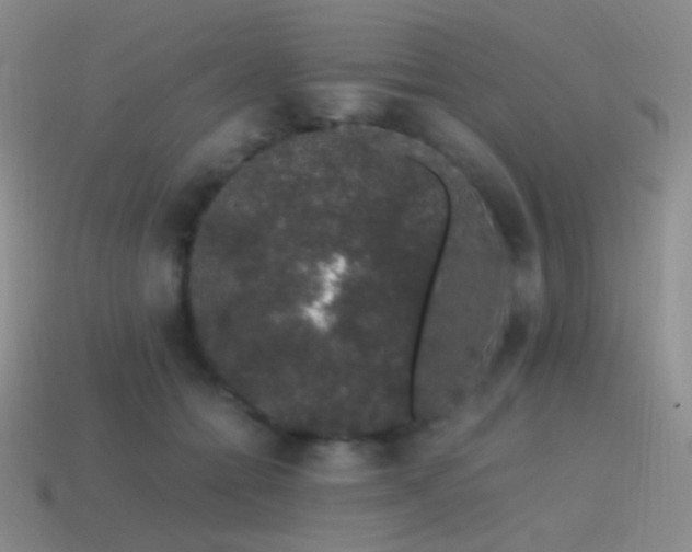 X0000115480558200911061219