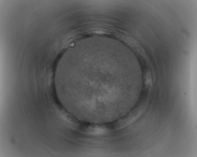 X0000115480559200911061219