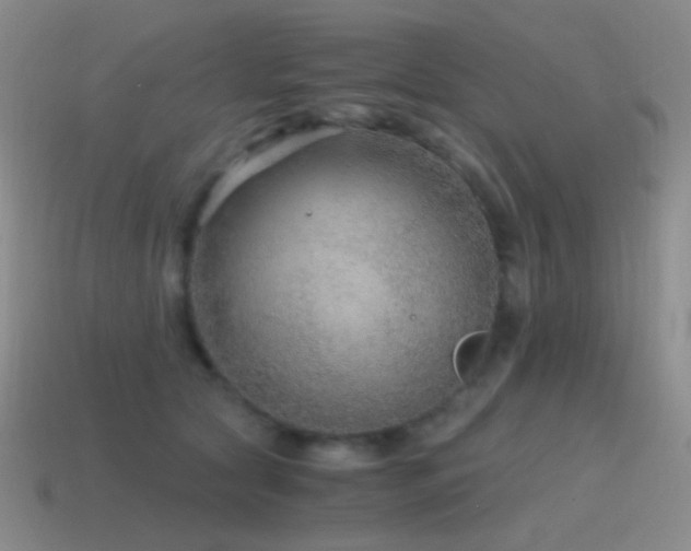 X0000115480561200911061219