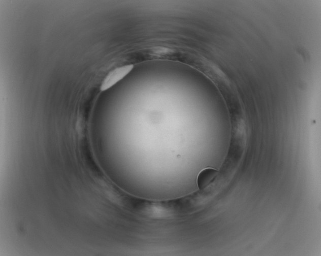 X0000115480565200911061219