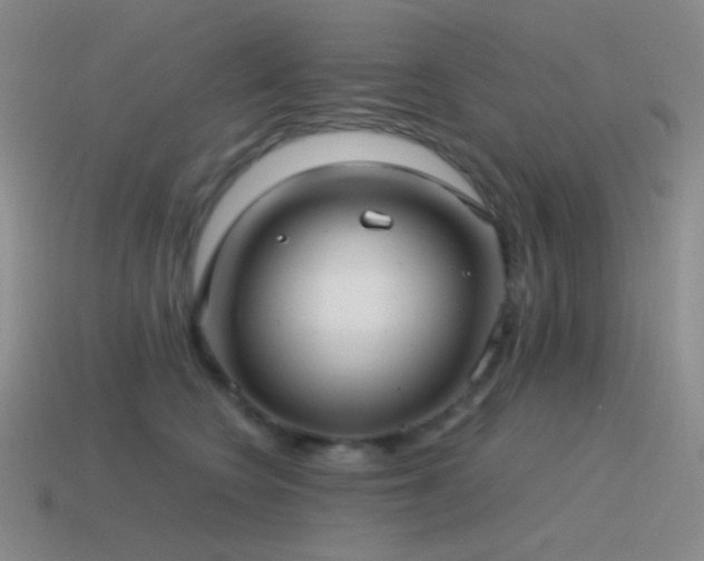 X0000115480566200911061219