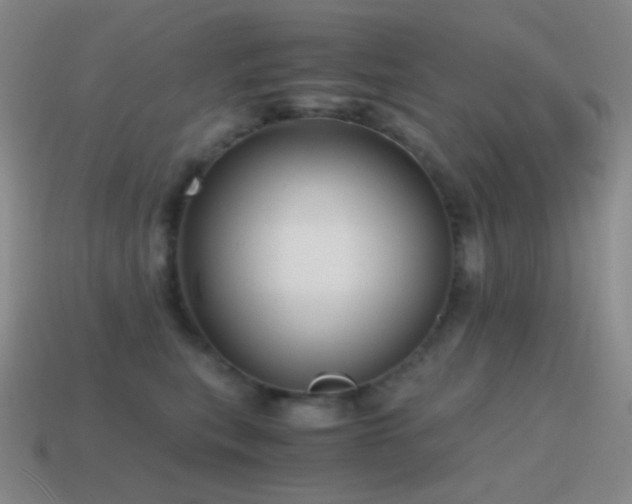 X0000115480567200911061219
