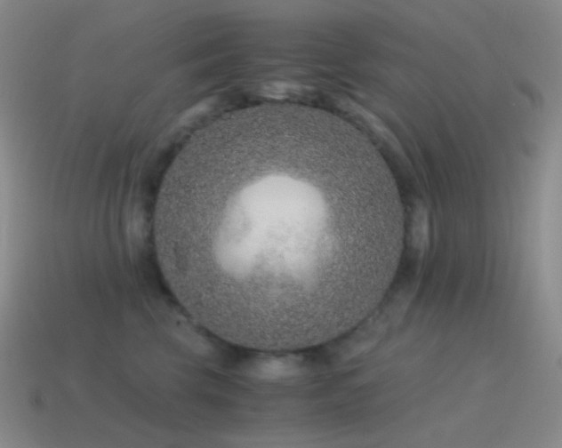 X0000115480569200911061219