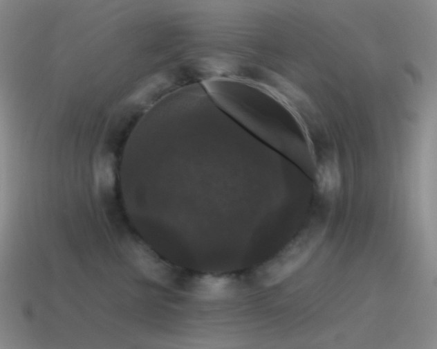 X0000115480570200911061220