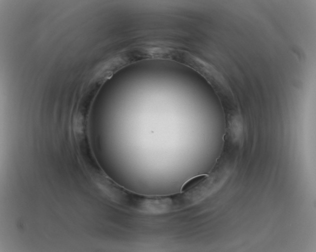 X0000115480571200911061220