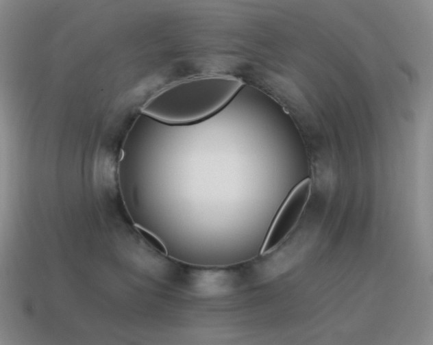 X0000115480575200911061220