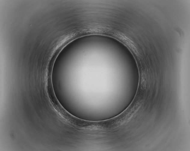 X0000115480578200911061219