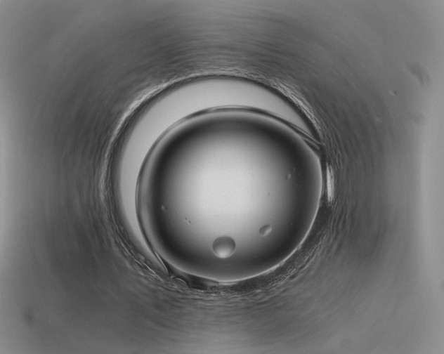 X0000115480579200911061219
