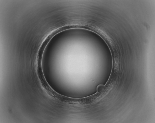 X0000115480580200911061219