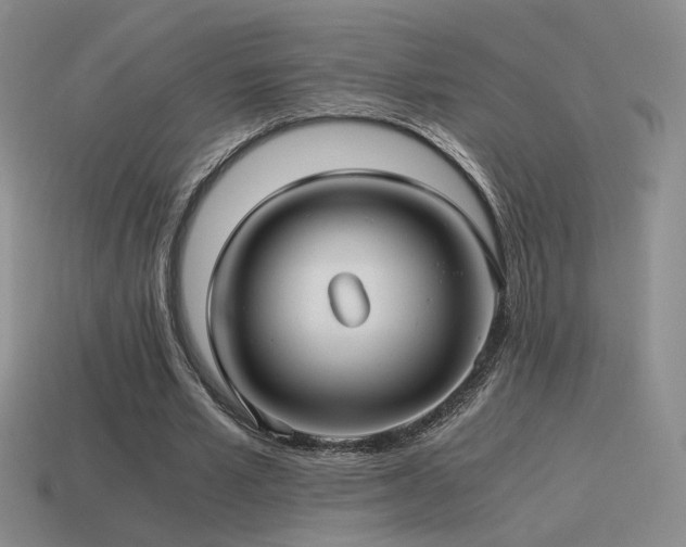 X0000115480581200911061219