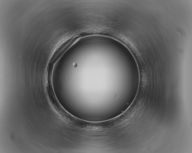 X0000115480582200911061219