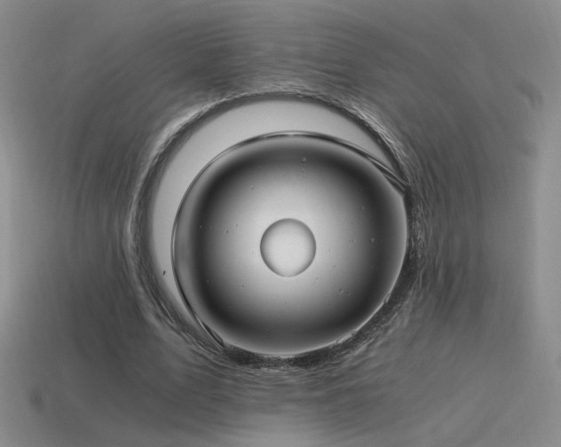 X0000115480583200911061219