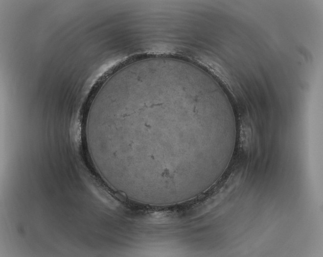 X0000115480584200911061219