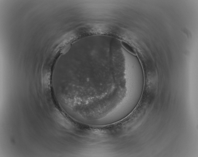 X0000115480585200911061219