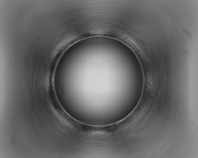 X0000115480586200911061219