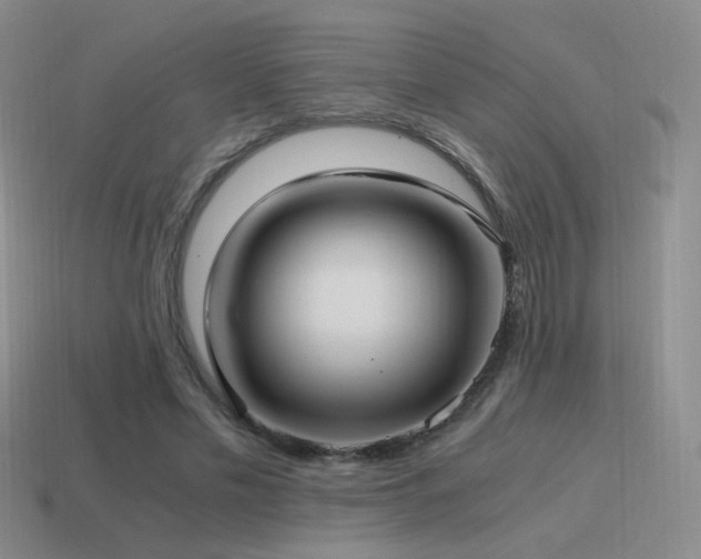 X0000115480589200911061219