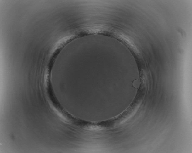 X0000115480590200911061219