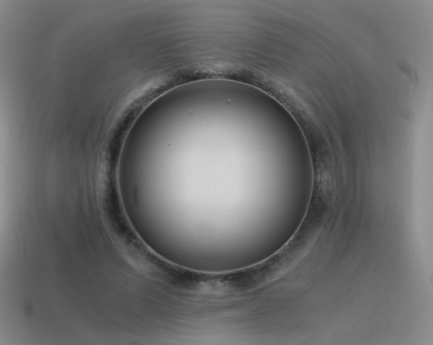 X0000115480591200911061219