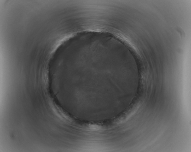 X0000115480592200911061219