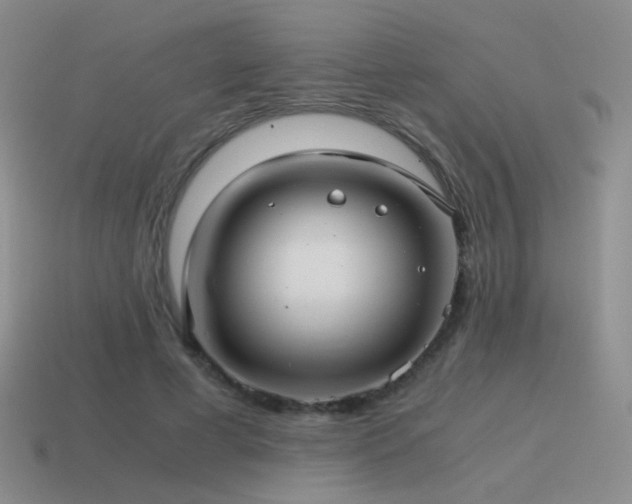 X0000115480593200911061219