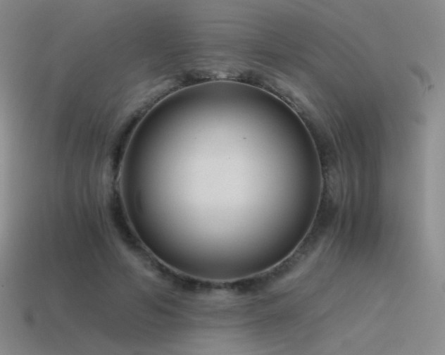 X0000115480594200911061219