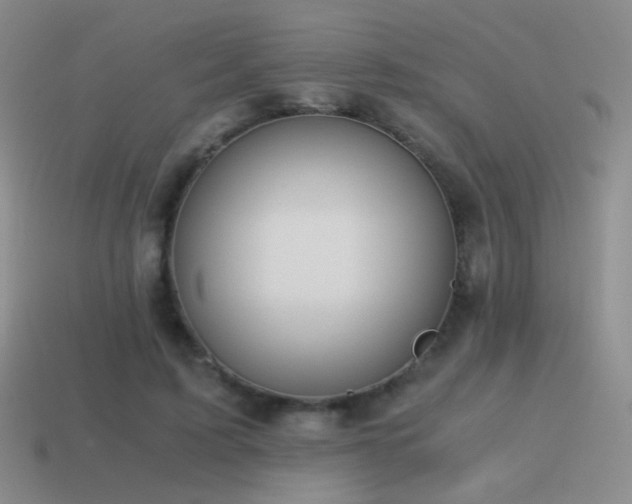 X0000115480595200911061219