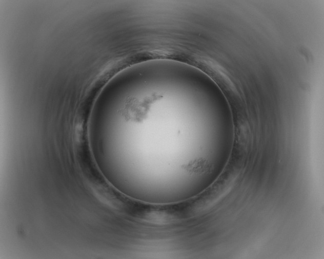 X0000115480596200911061219