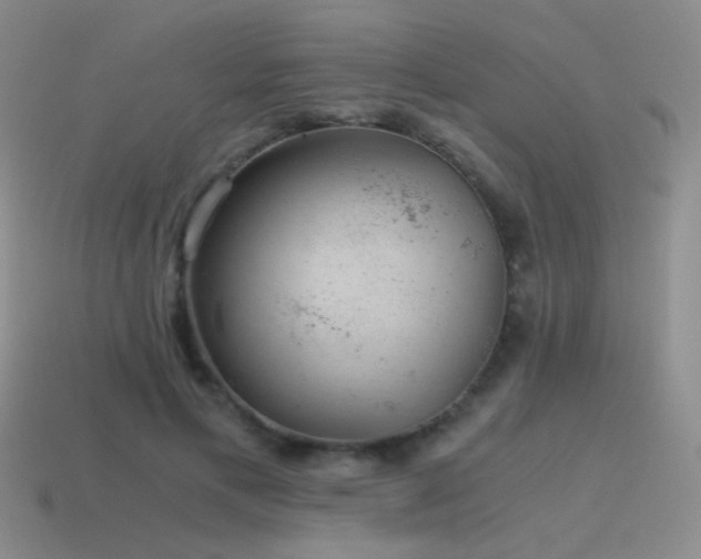 X0000115480597200911061219