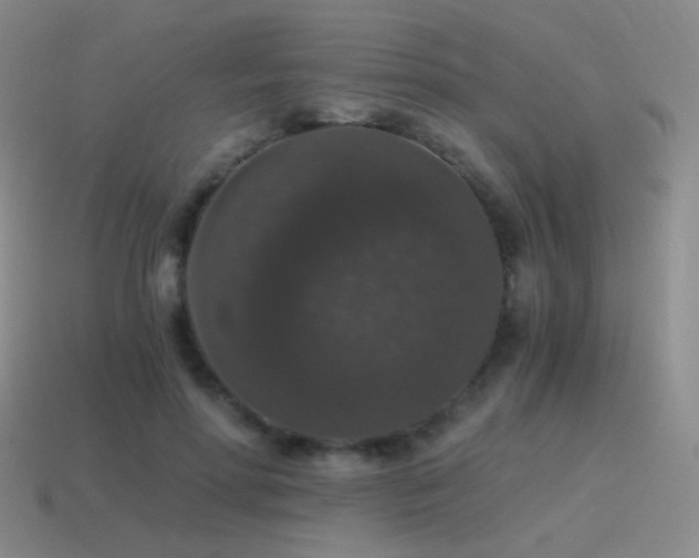 X0000115480598200911061219