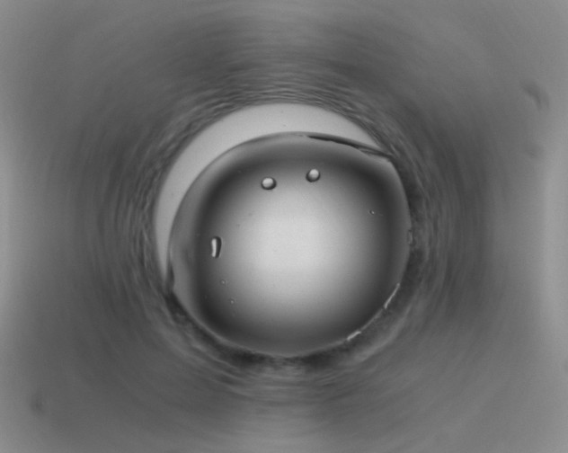 X0000115480599200911061219