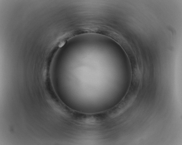 X0000115480600200911061219