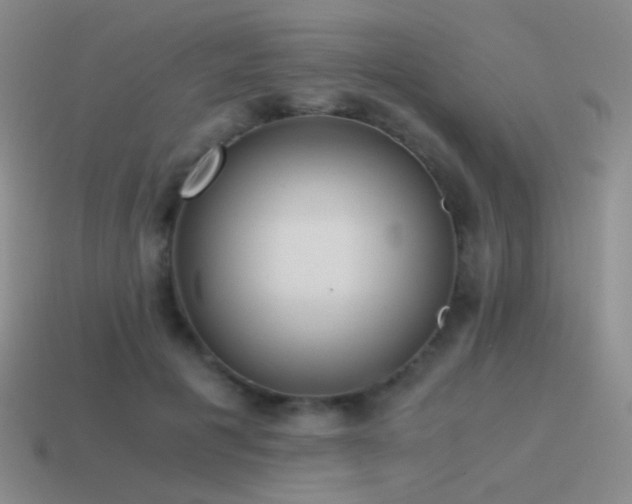 X0000115480601200911061219