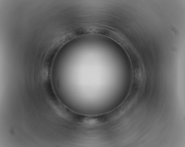 X0000115480602200911061219